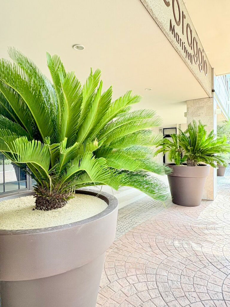 アルコラッジョ様_リニューアルPJT