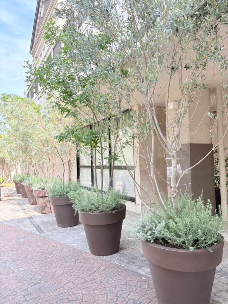 アルコラッジョ様_リニューアルPJT