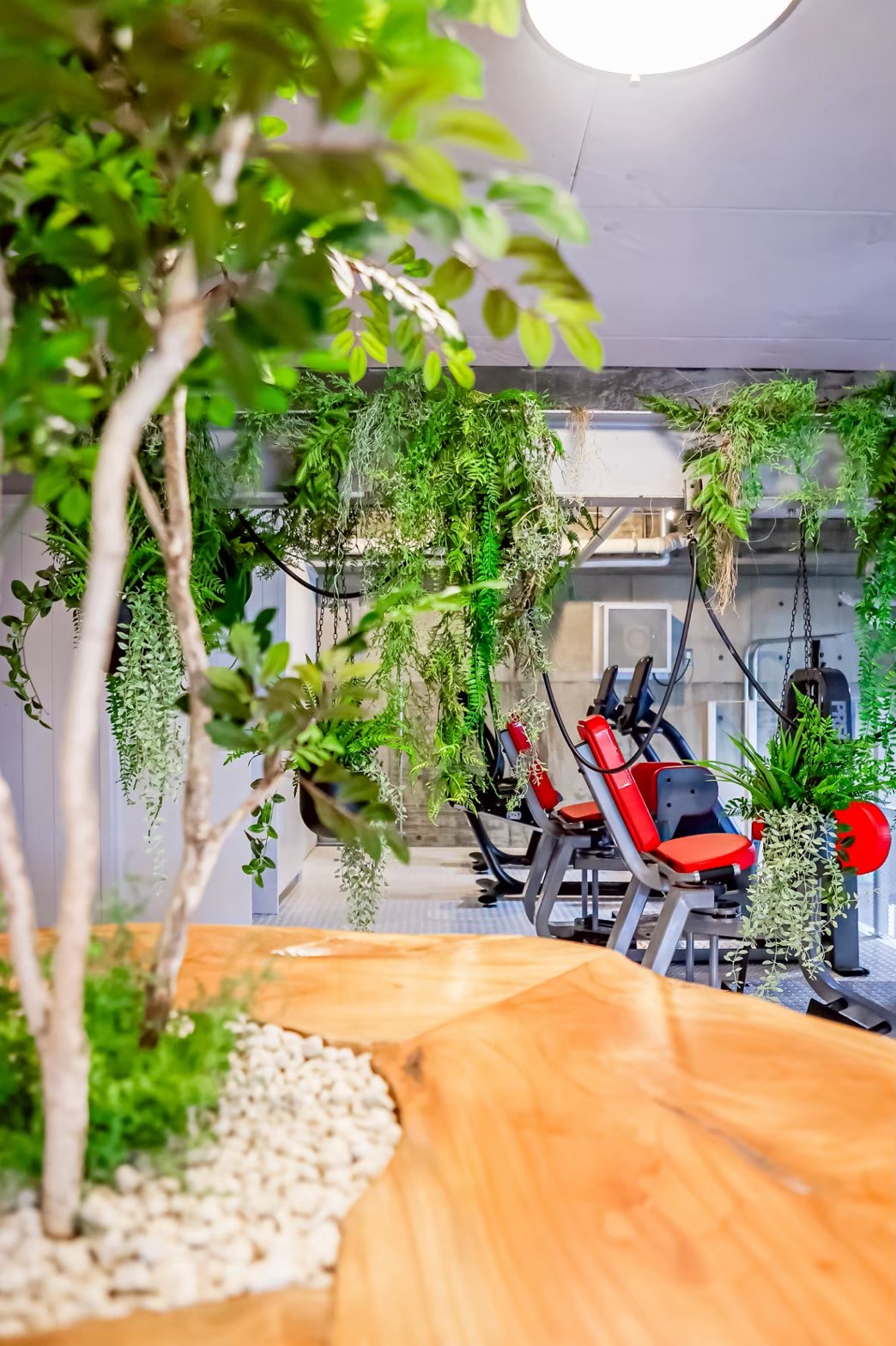 パワーハウスジム広島様