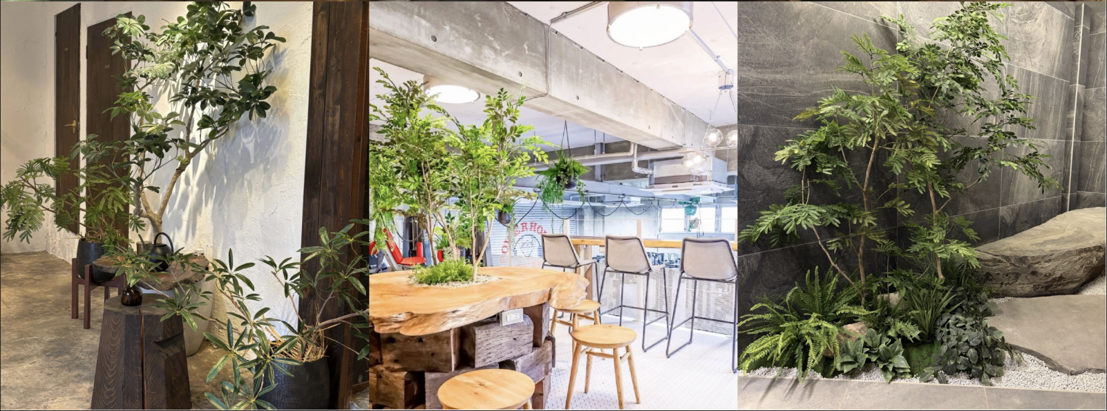 TOKYOROOMS展 グリーン装飾